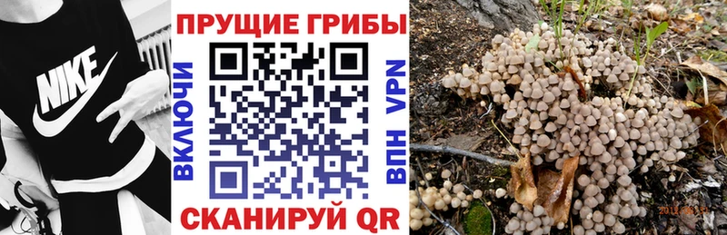 Псилоцибиновые грибы мухоморы Сельцо