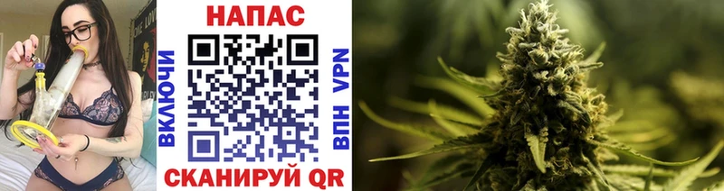 Марихуана Bruce Banner  Сельцо 